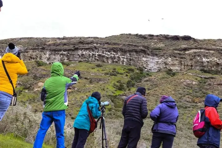 Condor watching from lower viewpoint