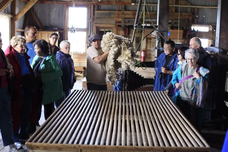 Patagonian ranch experience